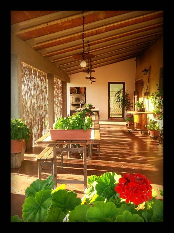 Agriturismo San Giusto Montiano  Bagian luar foto