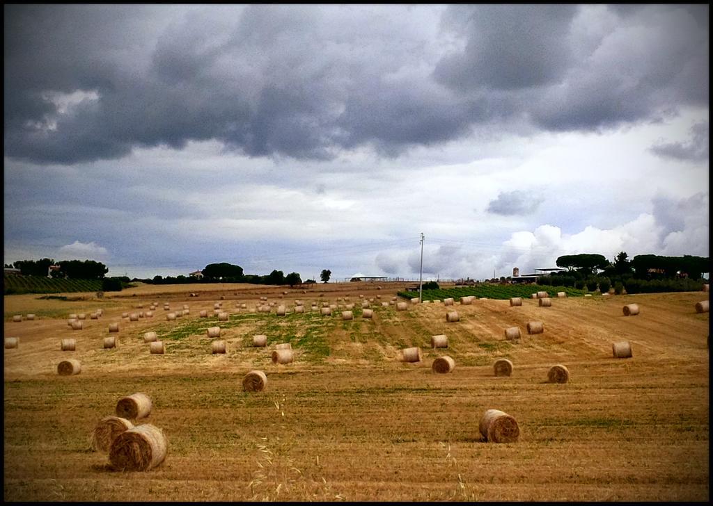 Agriturismo San Giusto Montiano  Bagian luar foto