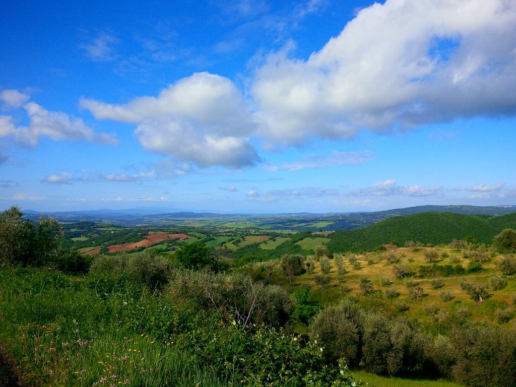 Agriturismo San Giusto Montiano  Bagian luar foto