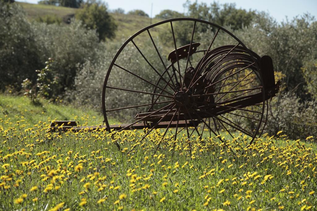 Agriturismo San Giusto Montiano  Bagian luar foto